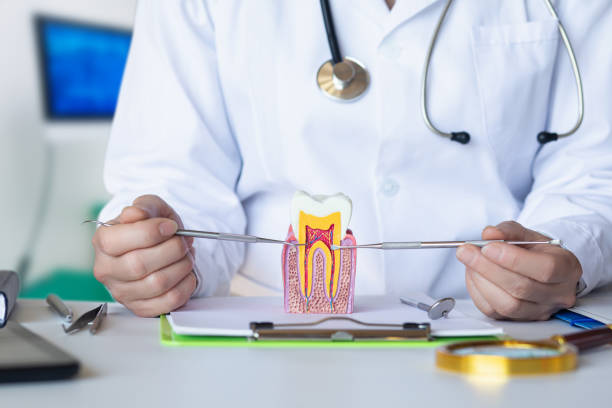 Best Cracked Tooth Emergency Dentist  in Lowell, NC